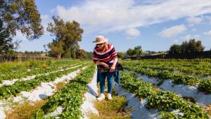 Ruta de los Abastos: La ruta gastronómica chilena de la que habla todo el mundo