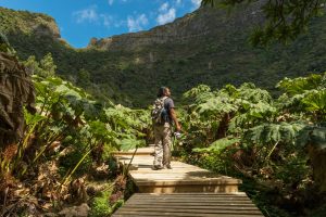 Ruta Patrimonial: 4 días en el archipiélago Juan Fernández