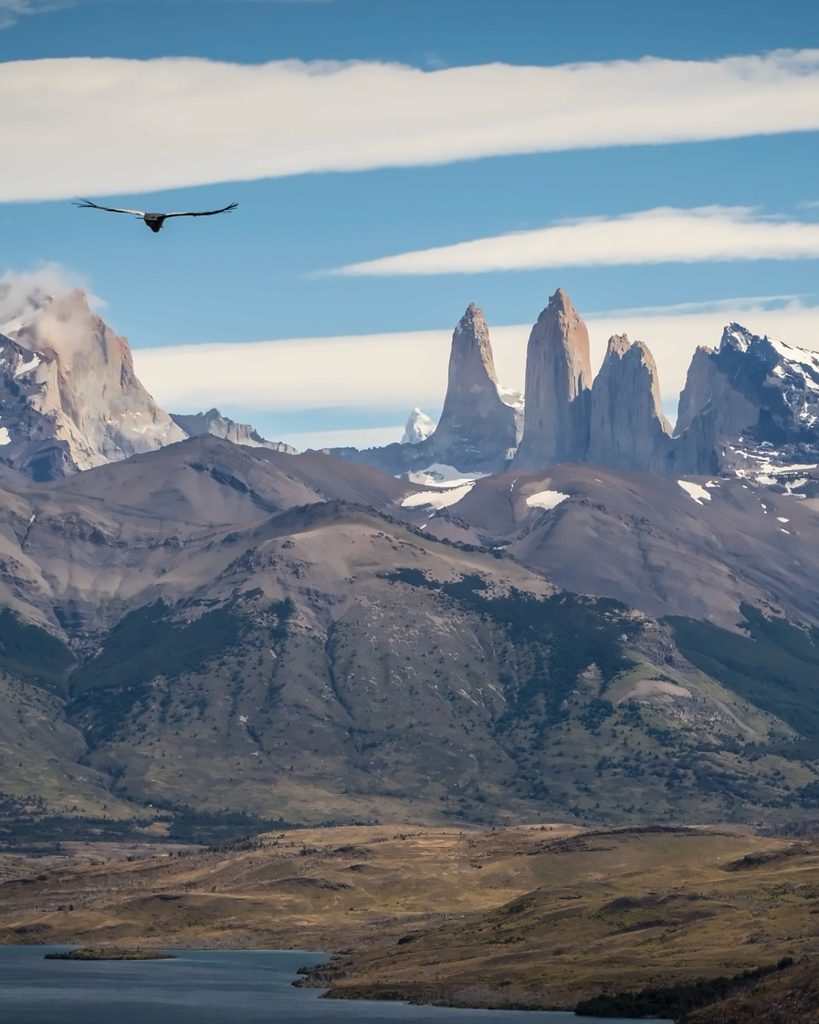 Cóndor volando sobre las Torres del Paine y un lago de la Patagonia chilena, uno de los paisajes que puedes sumar al viajar de la Patagonia al Desierto de Atacama.