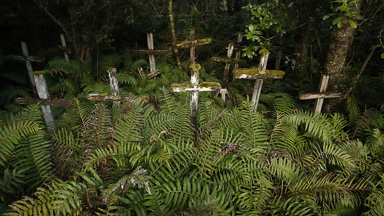 Puerto Vagabundo e Isla de los Muertos