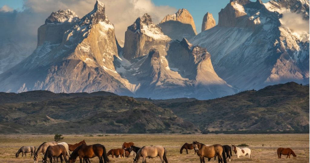 Somos campeões! O Chile triunfa em quatro categorias dos «Óscares do Turismo» América do Sul 2026